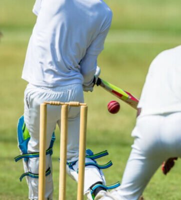 Cricket